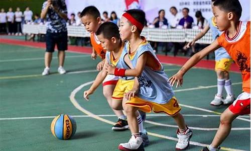 篮球体育游戏大班_篮球体育游戏大班教案反思